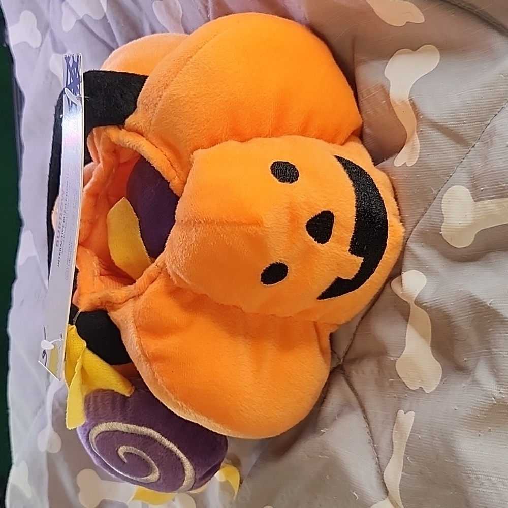 Halloween Pet Toy